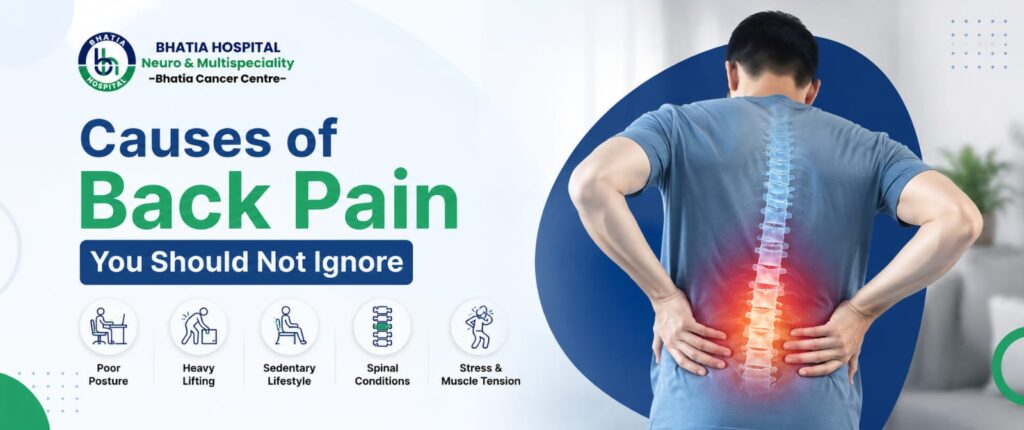 causes of back pain