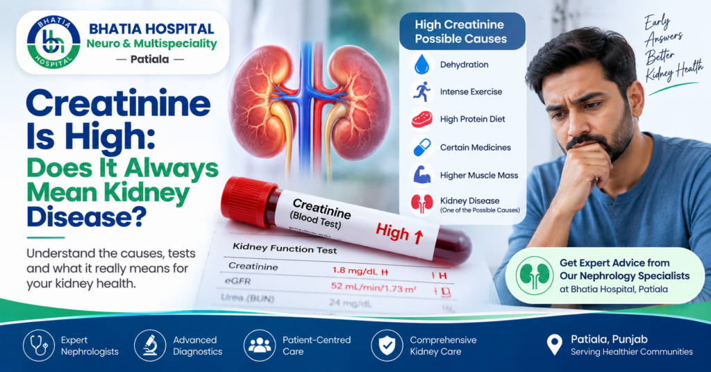 High creatinine levels and kidney function explained with eGFR and kidney health assessment